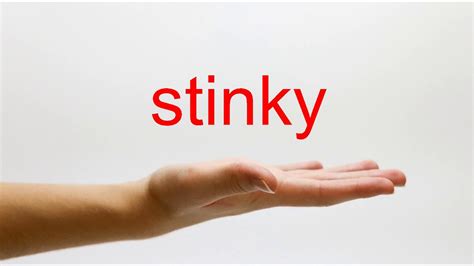 Stinky pronunciation male - Last updated February 11, 2024. How to say Stinky Tofu in Chinese? Pronunciation of Stinky Tofu with 2 audio pronunciations and more for Stinky Tofu.